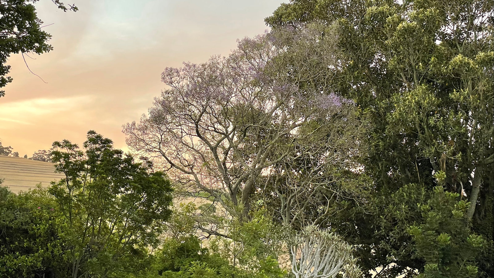 3 Day Retreat - March - 25th to 27th